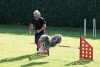 Agility-clubwedstrijd-2024-210