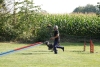 Agility-clubwedstrijd-2024-211