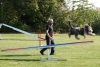 Agility-clubwedstrijd-2024-213