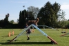 Agility-clubwedstrijd-2024-214