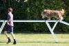 Agility-clubwedstrijd-2024-217