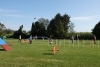 Agility-clubwedstrijd-2024-220