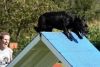 Agility-clubwedstrijd-2024-226