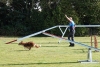 Agility-clubwedstrijd-2024-230