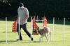 Agility-clubwedstrijd-2024-238