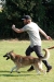 Agility-clubwedstrijd-2024-239