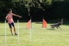 Agility-clubwedstrijd-2024-241