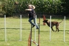 Agility-clubwedstrijd-2024-244