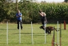 Agility-clubwedstrijd-2024-245
