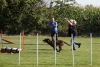 Agility-clubwedstrijd-2024-246