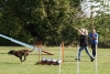 Agility-clubwedstrijd-2024-247