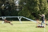 Agility-clubwedstrijd-2024-248