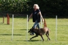 Agility-clubwedstrijd-2024-249