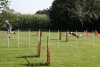Agility-clubwedstrijd-2024-252