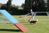 Agility-clubwedstrijd-2024-253
