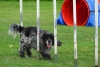 Agility-@-Filos-2023-121