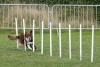 Agility-@-Filos-2023-177