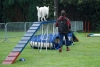 ic-agility-2014-050