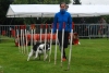 ic-agility-2014-080