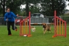 ic-agility-2014-084