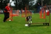 ic-agility-2014-093