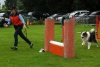 ic-agility-2014-099