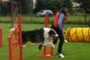 ic-agility-2014-100