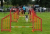 ic-agility-2014-101