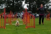 ic-agility-2014-102