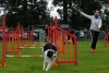 ic-agility-2014-103