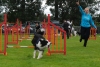 ic-agility-2014-105