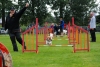 ic-agility-2014-106