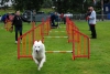 ic-agility-2014-109