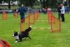 ic-agility-2014-110