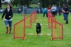 ic-agility-2014-113