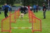 ic-agility-2014-118