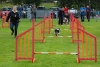 ic-agility-2014-119