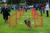 ic-agility-2014-123