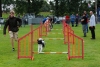 ic-agility-2014-125