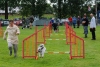 ic-agility-2014-126