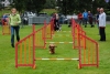 ic-agility-2014-129