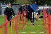 ic-agility-2014-132