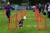 ic-agility-2014-136