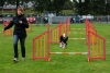 ic-agility-2014-137