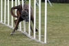 Agility-@-Filos-2025-104