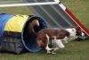 Agility-@-Filos-2025-107