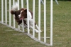 Agility-@-Filos-2025-108