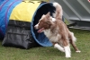 Agility-@-Filos-2025-112