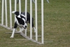 Agility-@-Filos-2025-117