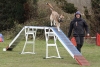 Agility-@-Filos-2025-124